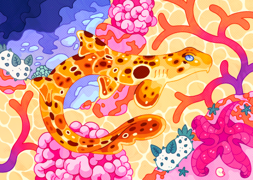 Septembers Silly Shark Of The Month Is An Epaulette Shark ^_^ Join My Ko-fi Before The End Of August