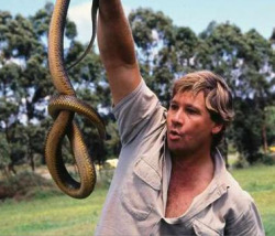 tamorapierce:  wildwesjames:  Today is September 4th 2014. It has now been 8 years since the death of one of my greatest heroes.Steven Robert Irwin. In that time, and unlike what my comforting mother, and friends assured me, it has not become easier.