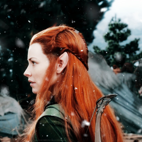 elvenforestworld - “It is our fight. It will not end here....
