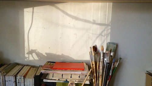 shantisheaan - My favourite time of day! Late afternoon light!