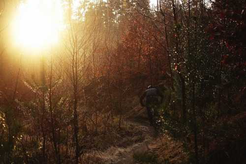 fuckyeahmountainbiking:  Winter Solstice Ride by all martn on Flickr.