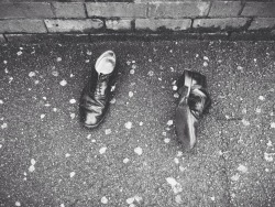 lostthingsblog:  Lost: Shoes, black brogues Place: Seven Sisters Road, London  Lost shoes