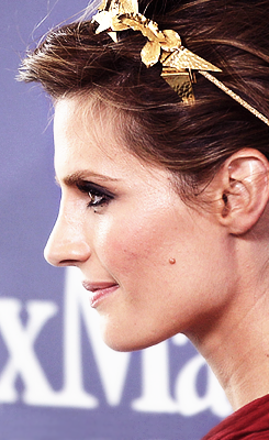  Stana Katic arrives at the 2013 Women in film’s Crystal + Lucy Awards at The Beverly Hilton Hotel on June 12, 2013 in Beverly Hills, California.   