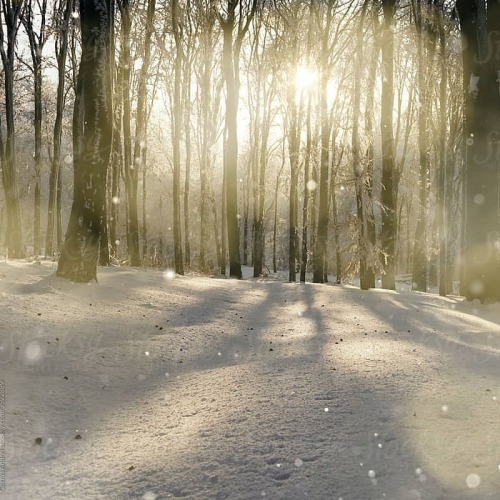 Sun and snow#photography #nature #photocosma #winter #art #artistsoninstagram #fantasy #fairytale #f