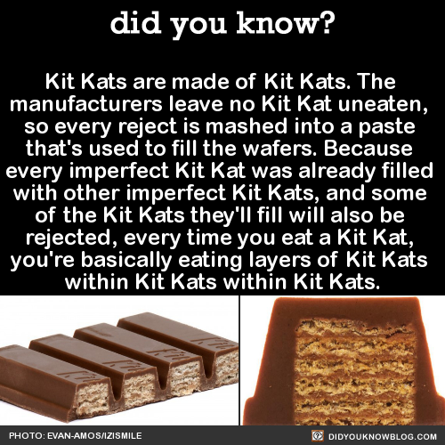 did-you-kno:  Kit Kats are made of Kit Kats. The  manufacturers leave no Kit Kat