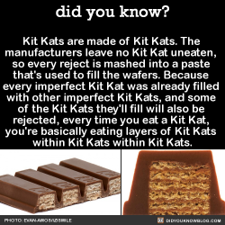 did-you-kno:  Kit Kats are made of Kit Kats.