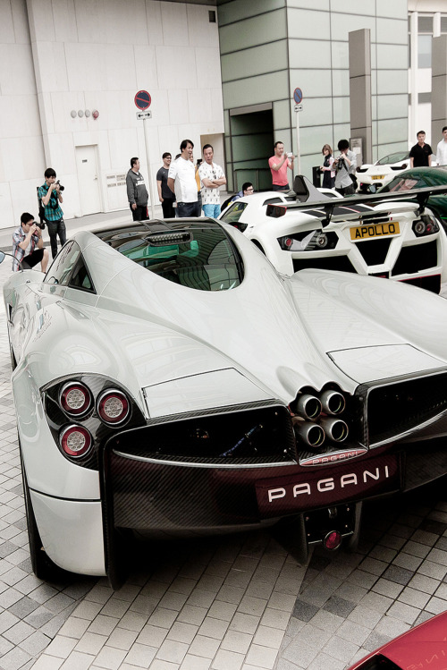 bashum:  Pagani & Gumpert 