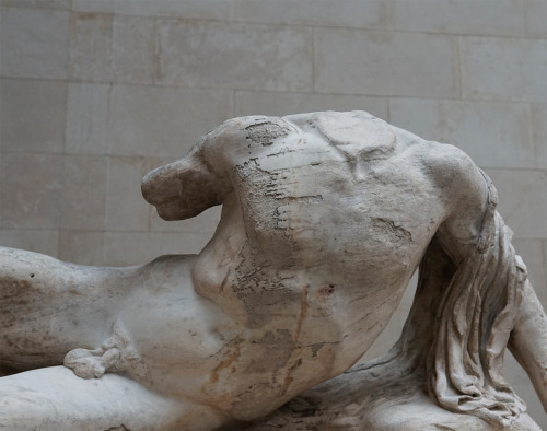 darkmacademia:the parthenon sculptures / british museum, london