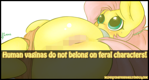 vixyhoovesmod:  cobaltflame:  loriisapony:  clopper-dude:  mlpartconfessions:  Because I see this SO MUCH in running Illogic-Bronies, I’ve became more and MORE offended whenever I see a human vag on a feral pony.  JUST because lazy artists in general