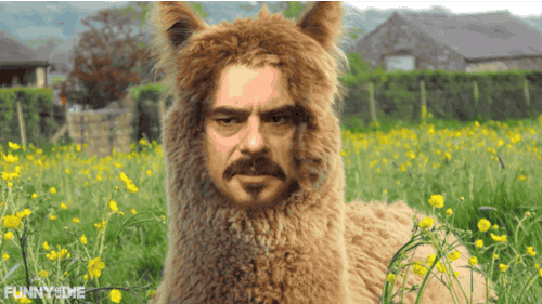 funnyordie:…can never get the face right.via Rules Of The Vampire with Jemaine Clement and Taika Wai