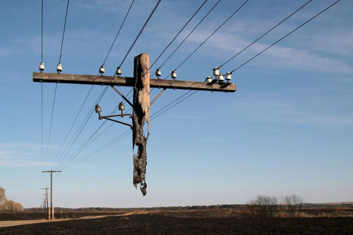 datcatwhatcameback:  jedavu:  10+ Mind-Bending Photos That Seem Fake But Are Actually Real   These images, however, will turn your caution on its head – though all of these images look like they might be fake, each is 100% real!    REAL LIFE GRAPHICAL