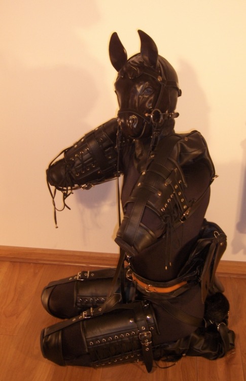 bitchsuits:  Lather Pony suit  http://www.fury-fantasy.com/Fury-Fantasy-Accesoires.htm adult photos