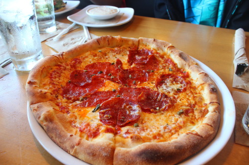 pengu-n: california pizza kitchen yuminstagram: perrytheplatypuus