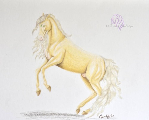 &ldquo;Tennessee Stud&rdquo; This is a colored pencil highlight study on a horse! I&rsquo;m rather h