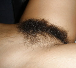 maturehairypussy:  Mature Hairy Pussy