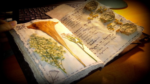 hanael-workshop:Do you remember my first  herbarium?  I made another one. Commissioned. :)~~I had a 