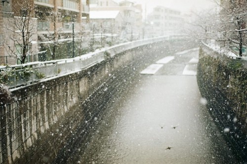 tokyojp: 今年の冬は寒かった。 by Yusuke OSUMI. &lt;3