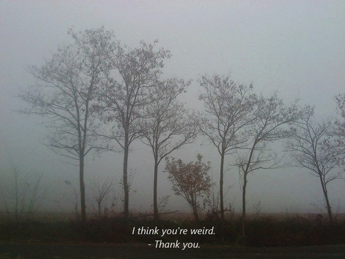 http://yuckythoughts.tumblr.com/post/84133460649