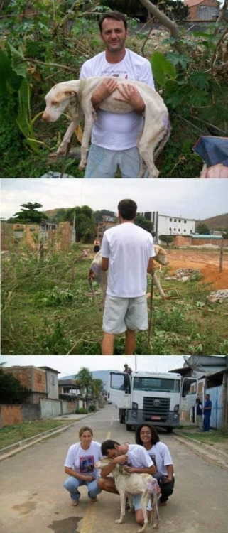 rosettakat:  thatgirlcanlift:  wreckedxteen:  canna-bish:  Thank you so fucking much.  im in teaaars  I will never not reblog this because this guy right here is the best example you could ever have for how to care for an animal in need.  Props to this