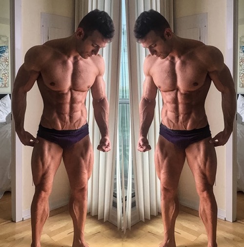 Adonis Files