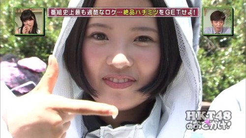 Haruppi
