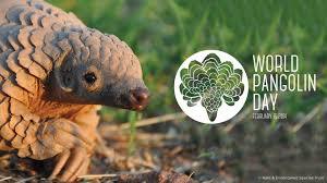 blackbearvevo:shoutout to pangolins for being the cutest motherfuckers out there