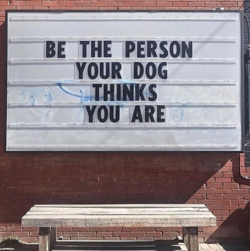 High standards - found @fpcanada