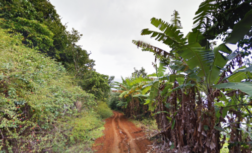 oessa:pitcairn island / google street view-25.0665881,-130.1153239