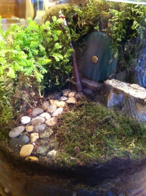 katchowder:  my mom made me my own hobbit home moss garden shire  wut  