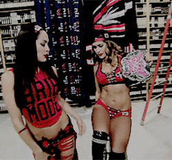 Favorite Female Wrestler {nikki Bella)