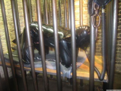 rubbermayhem:  gummigimp:  gimp in cage  The gimp was stored away in its cage. The breathing mask in the hood insured a supply of air, if slightly restricted by the partially stale air in the rebreathing bag and the occasional popper hit. It would keep