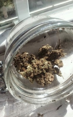 stoner-vogue:More pics of the blackberry