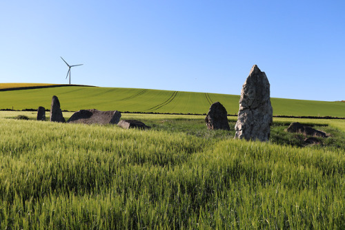 Balquhain Recumbent Stone Circle, Aberdeenshire, 27.5.18.This recumbent stone circle occupies a fant