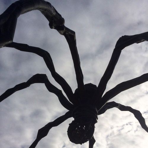 . . . . . . #spider #serralves #louisebourgeois #porto #museum #comtemporaryart #greysky #aranha #ar