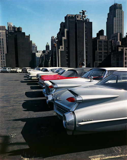 Adreciclarte2:  Evelyn Hofer - New York, 1963