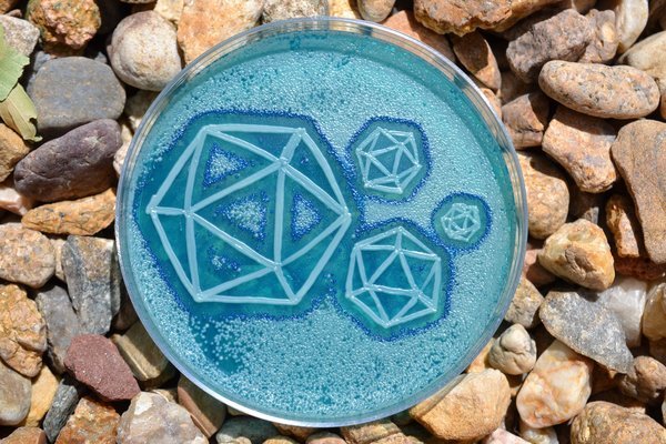 huffingtonpost:  A Microbiologist Recreated ‘Starry Night’ With Bacteria In A
