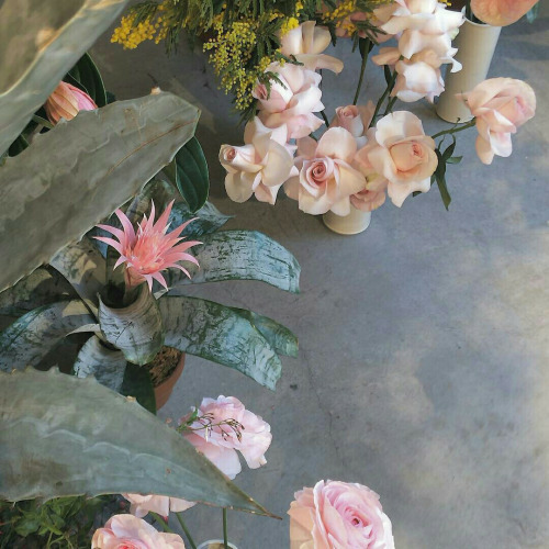 🌺: Remember To Love Yourself Endlessly. If You Don’t, Who Will?