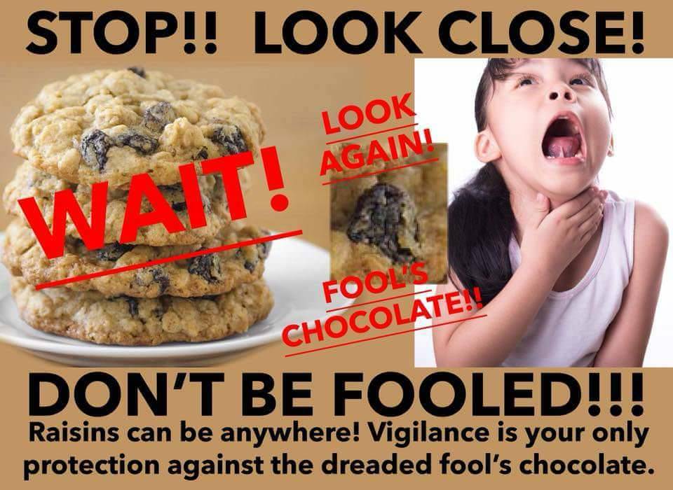 loloftheday:Fool’s chocolate.