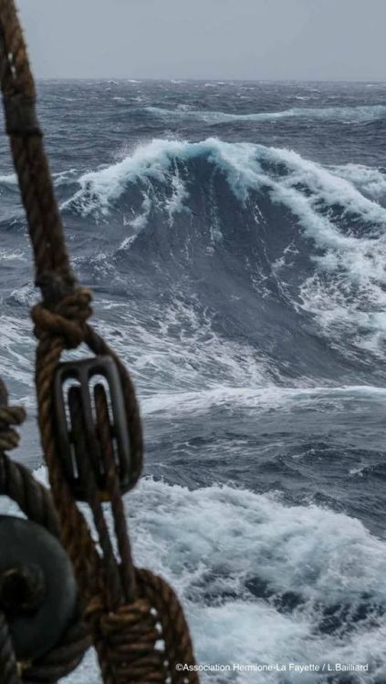 grandboute - L’Hermione La Fayette en haute-merCrédit - ...