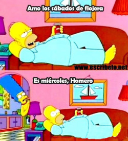 nhatalia-br:  +Amo los sábados de flojera -Es miércoles homer 