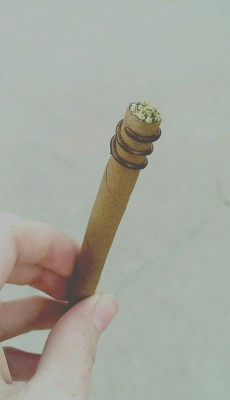 nuug-life:  smoke a blunt nice and slow hold