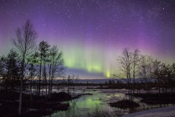 tiinatormanenphotography:  Spring is here. Very last auroras for this season. by Tiina Törmänen | web | FB | IG |  