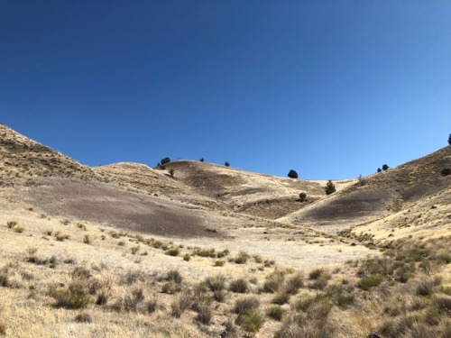 Nothing makes me feel more at home than the Clarno Basin, where I work 10 weeks out of the year. If 