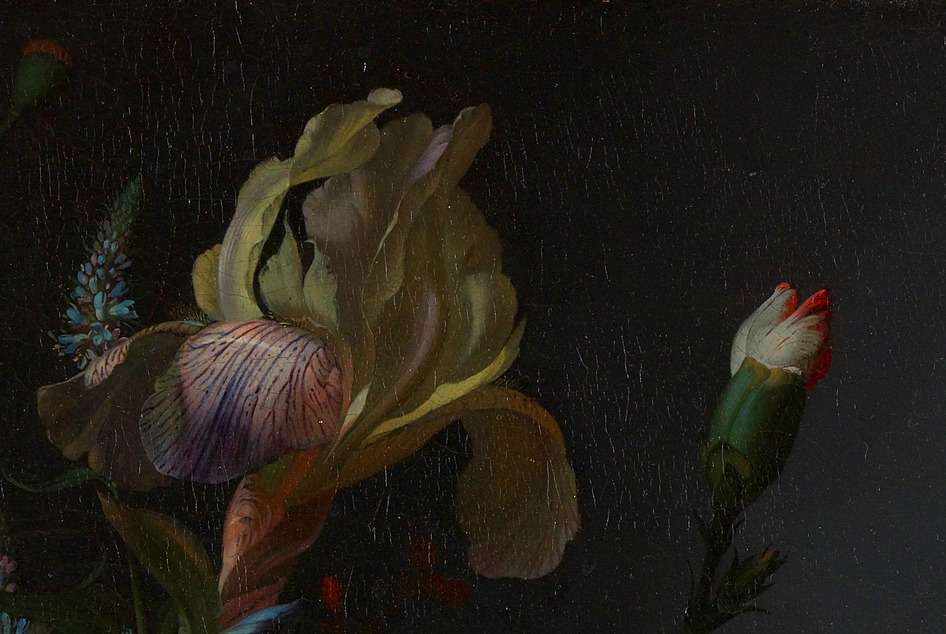 clara–lux: RUYSCH, Rachel (1664-1750) Still life, details1716Oil on canvas, 48.5