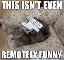 ryan-c-cole:  the-thought-emporium-imperial:  At least the cat is finally under control.  He’s just channeling his rage.