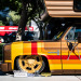 catuned:Sema 2019 