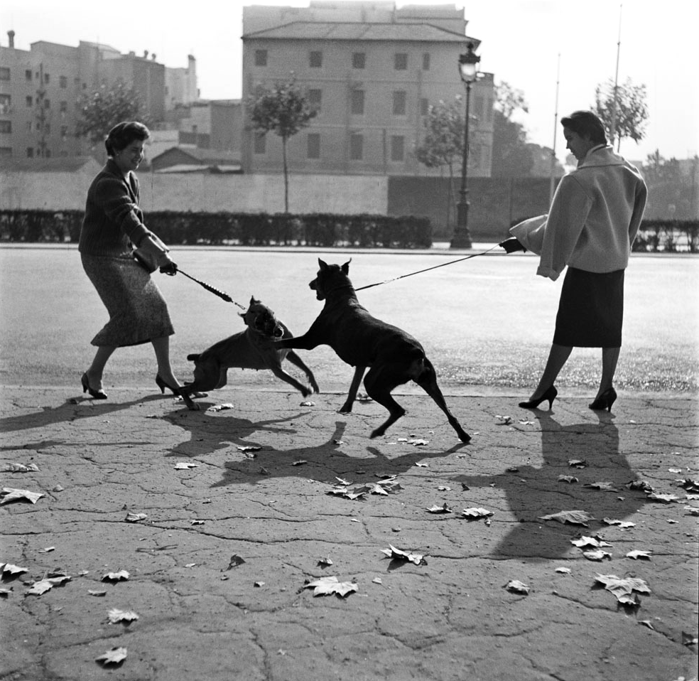 Francesc Català-Roca: Paseando perros por la Diagonal, ca. 1950