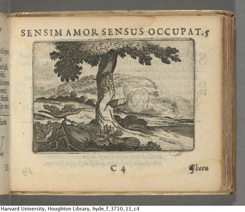 &ldquo;Sensim amor sensus occupat&rdquo; [Love takes possession of the mind insensibly] Cats