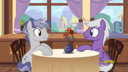 johnlock-empire:GAY PONIES ON A GAY DATE