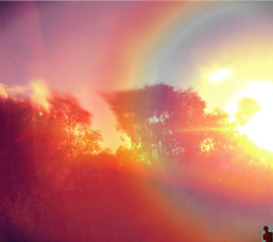 pureblindingcolour:  pureblindingcolour  sun dazed:::  